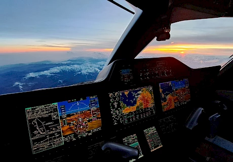 Descent into Cannes