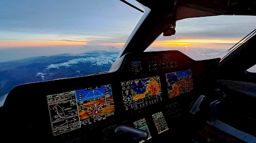 Descent into Cannes