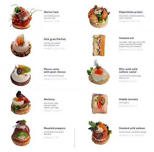 Atmospherica Private Jets