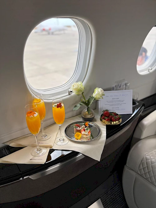 Atmospherica Private Jets