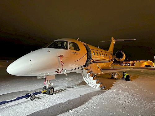 Christmas decoration