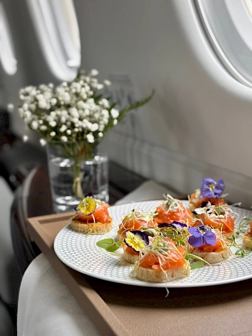 Atmospherica Private Jets